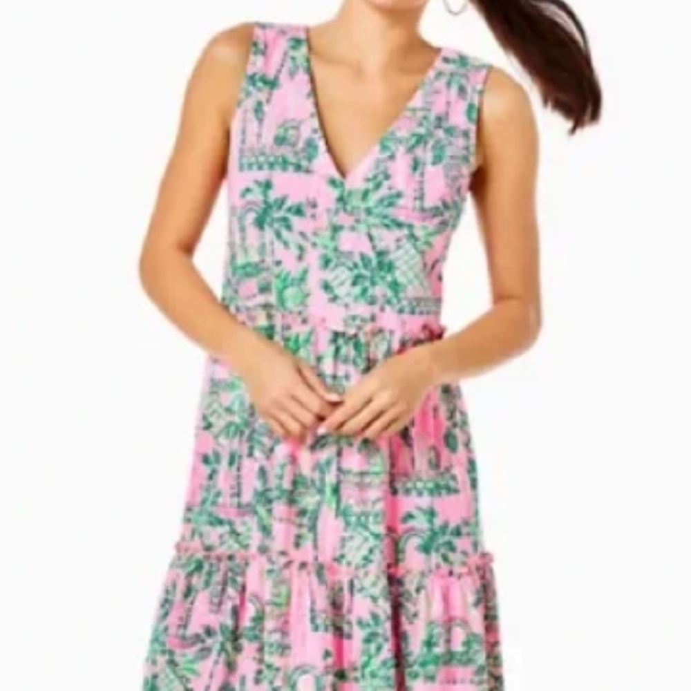NWOT LILLY PULITZER  mandevilla  baby always worth it lorina dress Size XXL